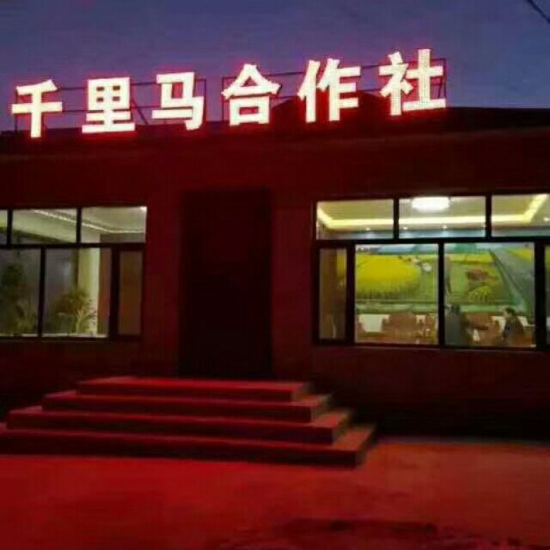 【村委会监制】东北五常稻花香2号，自产自销，正品保证