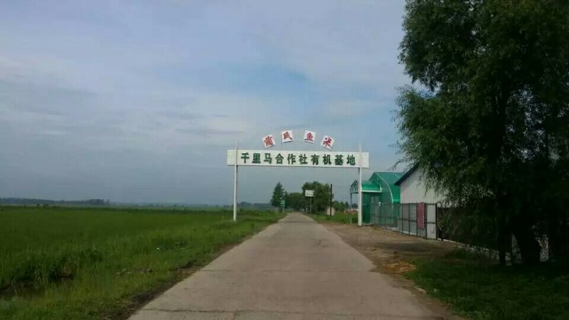 【村委会监制】东北五常稻花香2号，自产自销，正品保证