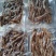 牛肉干吧