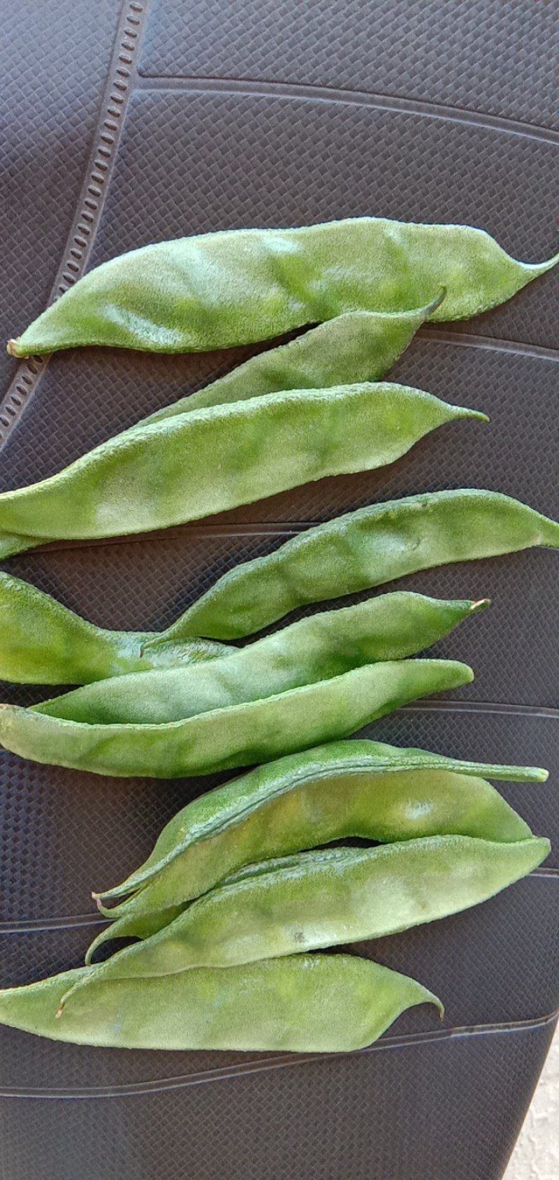 豆角