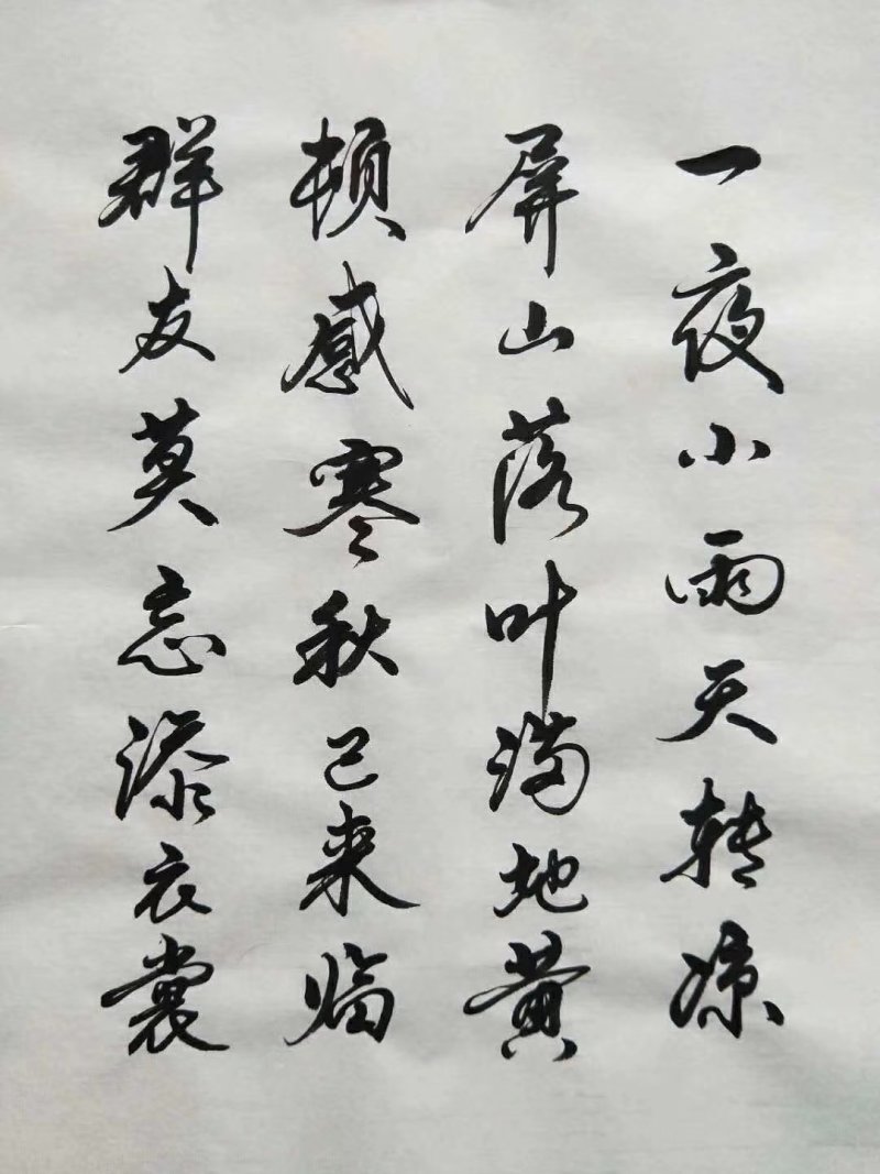 5-6号菜藕和藕种出售