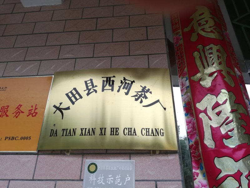 三明市大田高山红茶，自产自销一条龙、货源充足。