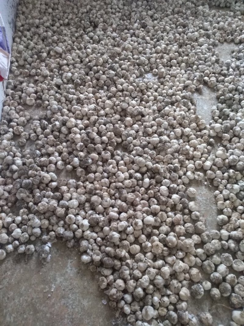 白皮大蒜3.5--------6.8之间