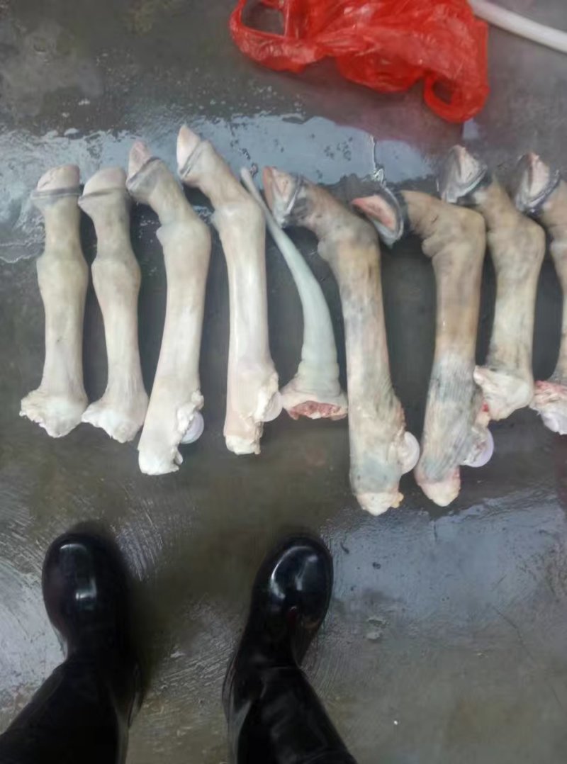 驴肉