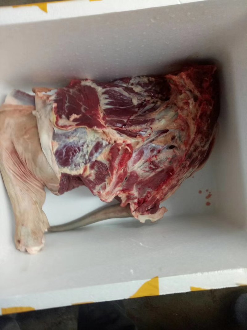驴肉