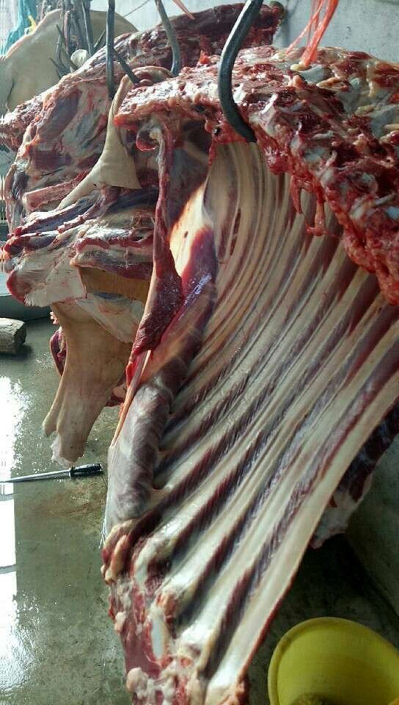 驴肉