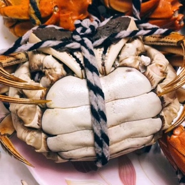 阳澄湖大闸蟹