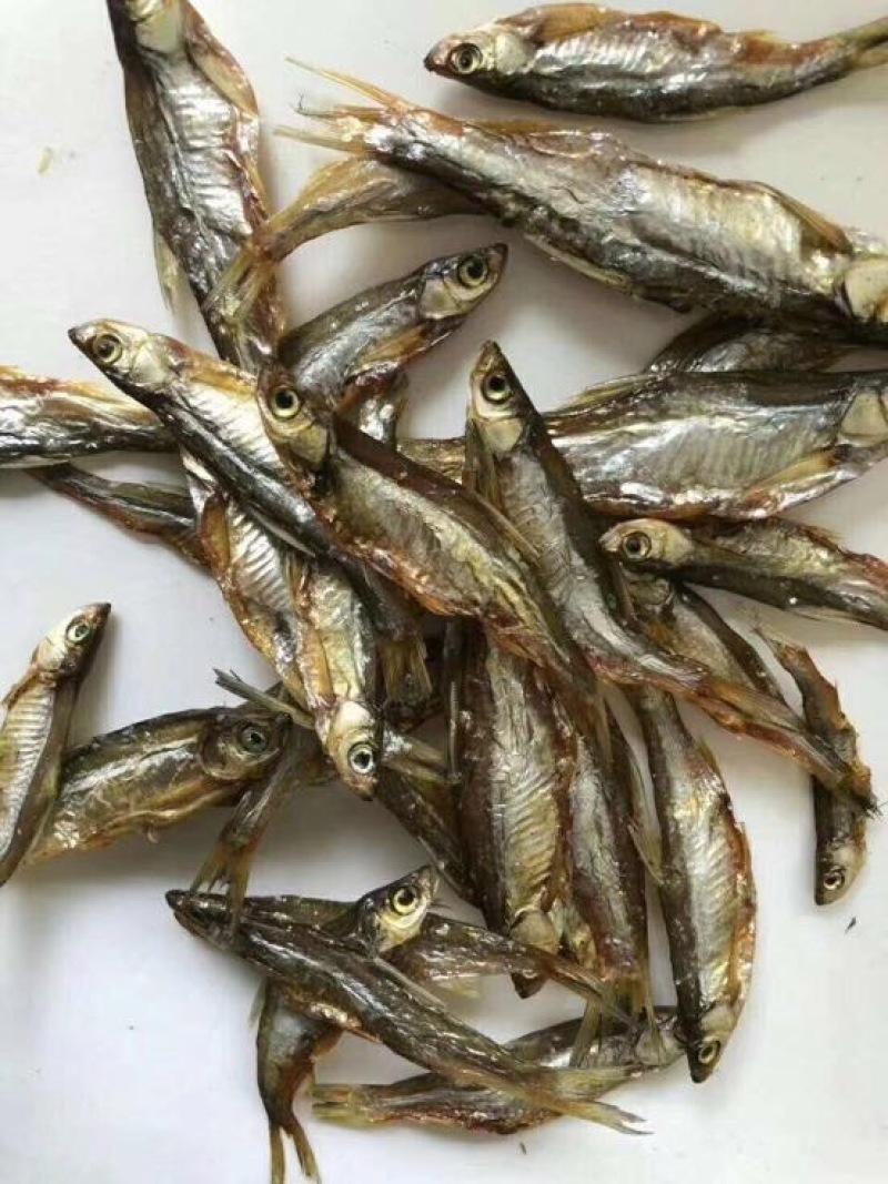 鱼干淡水小鱼干