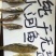 鱼干淡水小鱼干