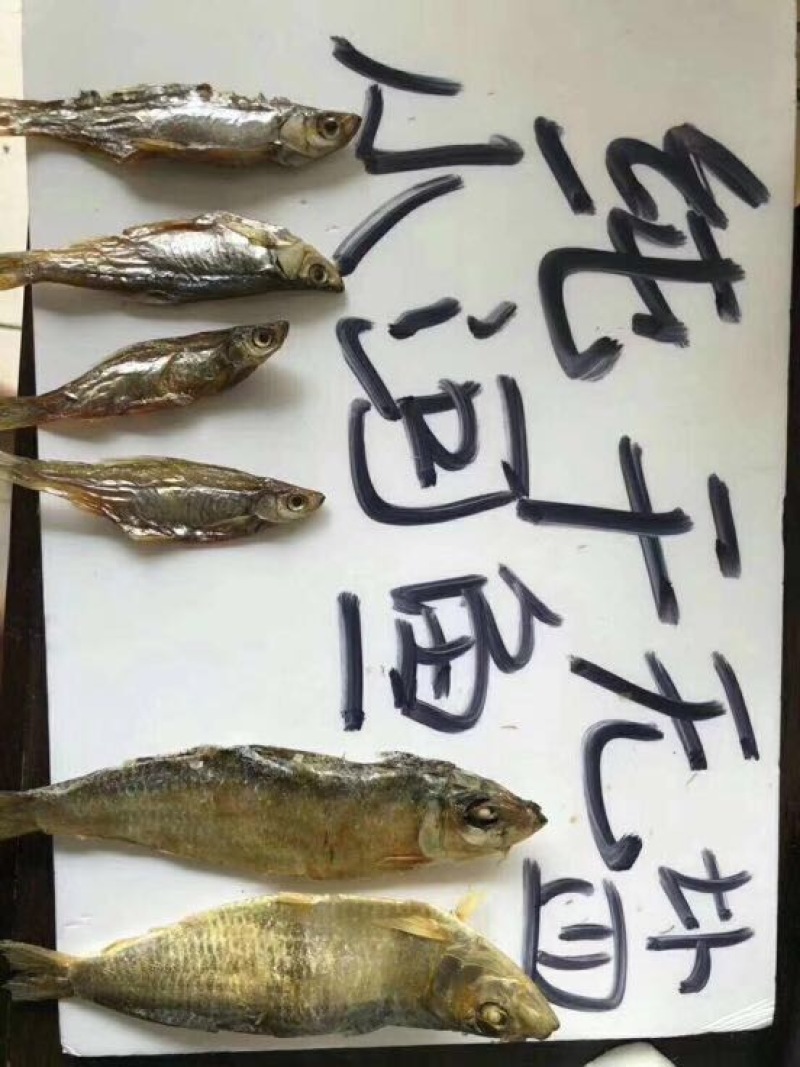 鱼干淡水小鱼干