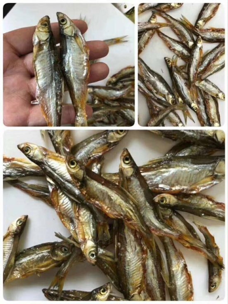 鱼干淡水小鱼干