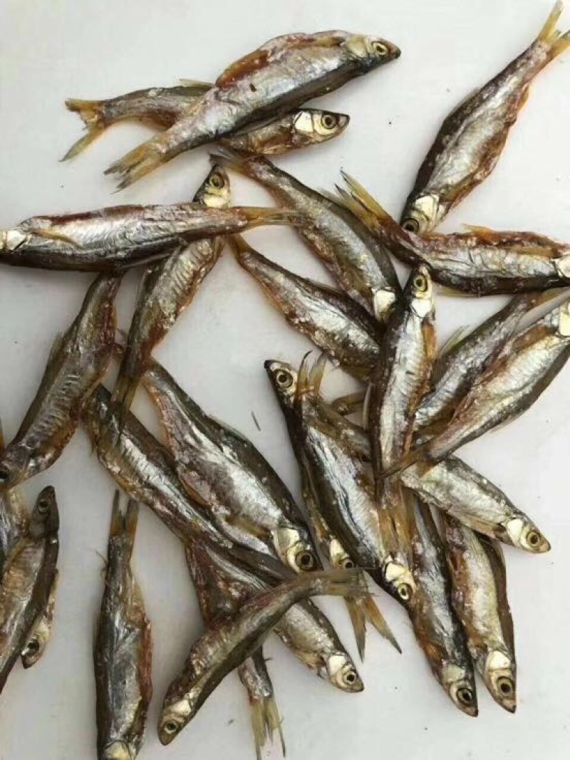 鱼干淡水小鱼干