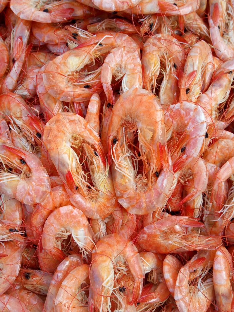 烘干对虾