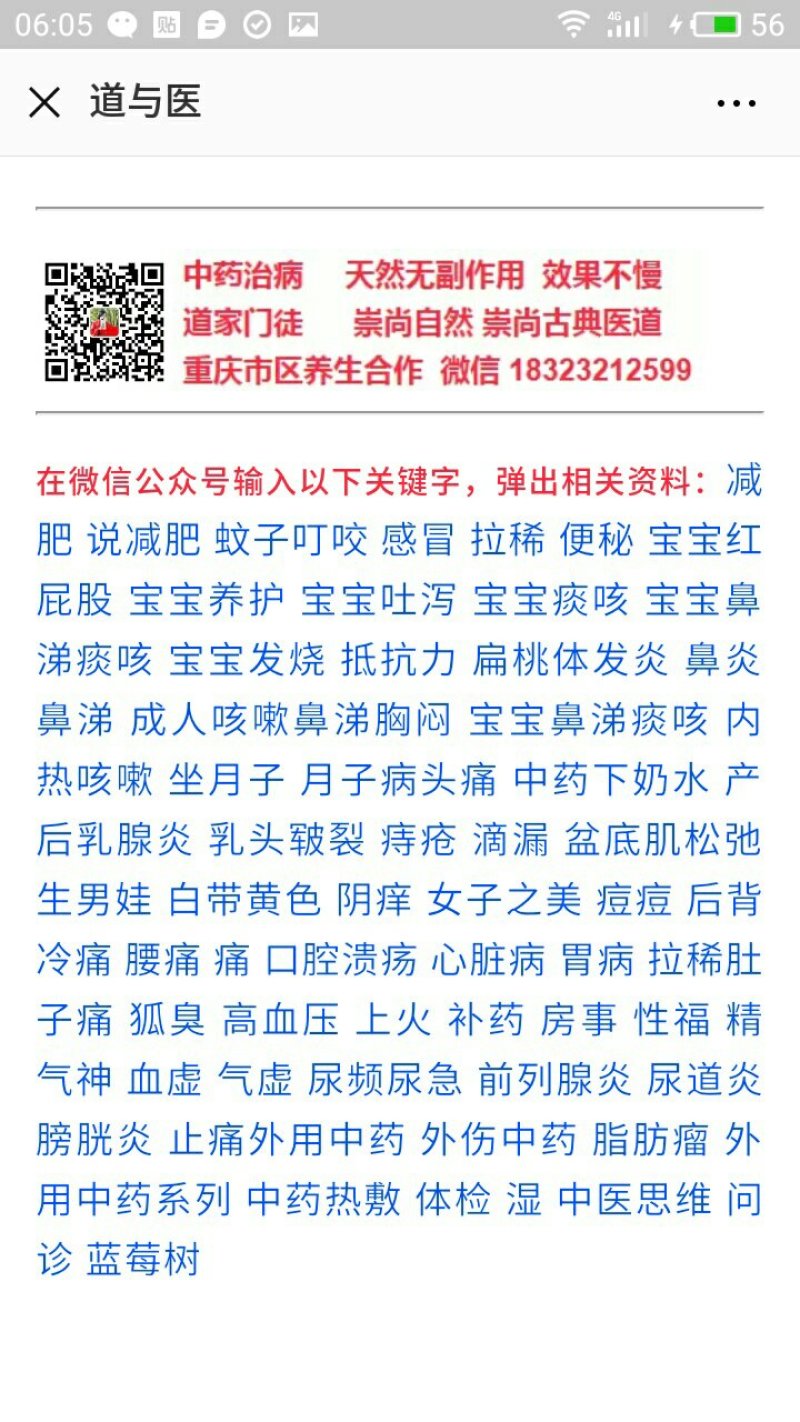 重庆渝本供应蓝莓树，蓝莓苗。