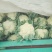 精品菜花，精品菜花，产地发货，质量保证，