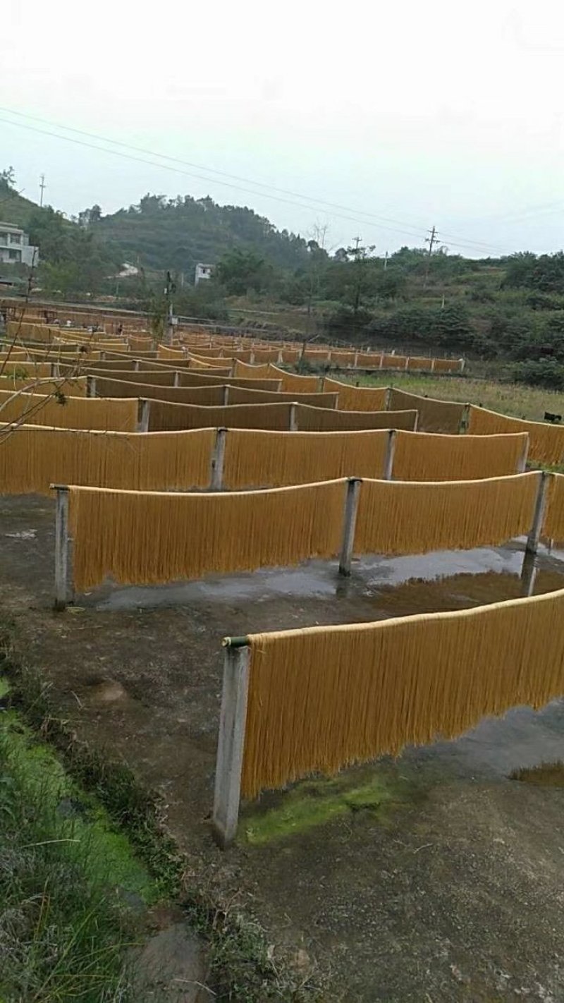 手工酸辣粉条、有大宽、中宽、细，井水制作无任何杂质。