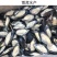 蓝口贝
