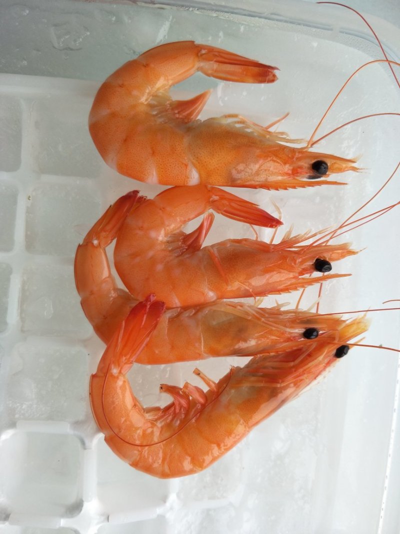 胶纸塘熟虾