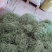 干豆角丝