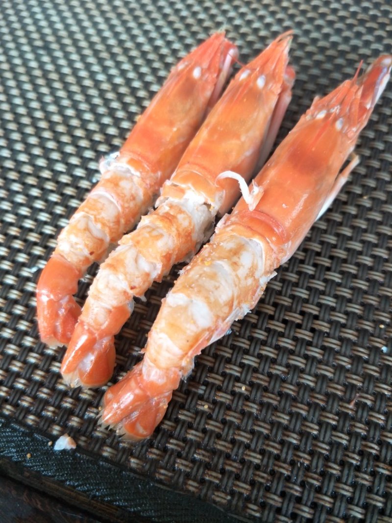 珊瑚红虾