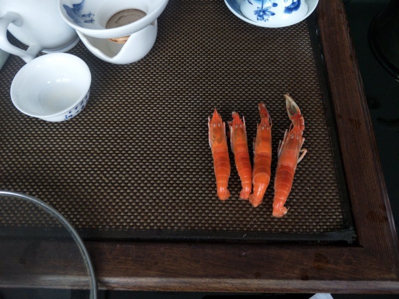 珊瑚红虾