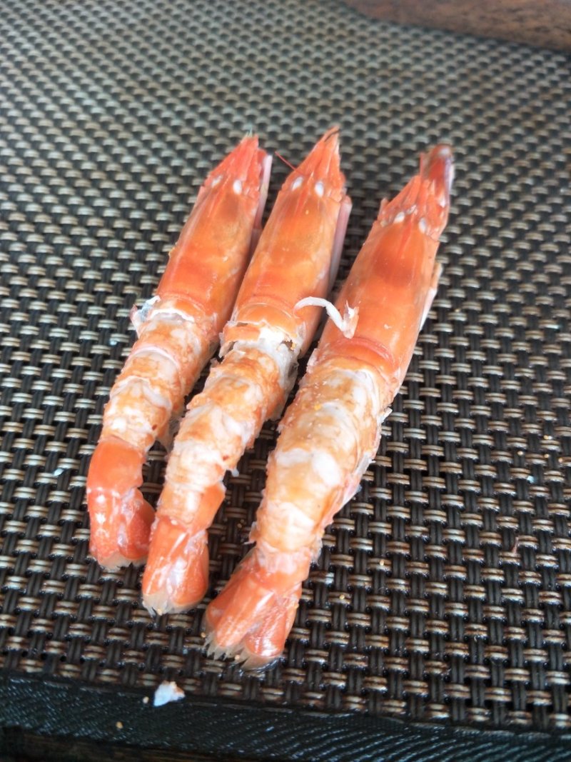 珊瑚红虾