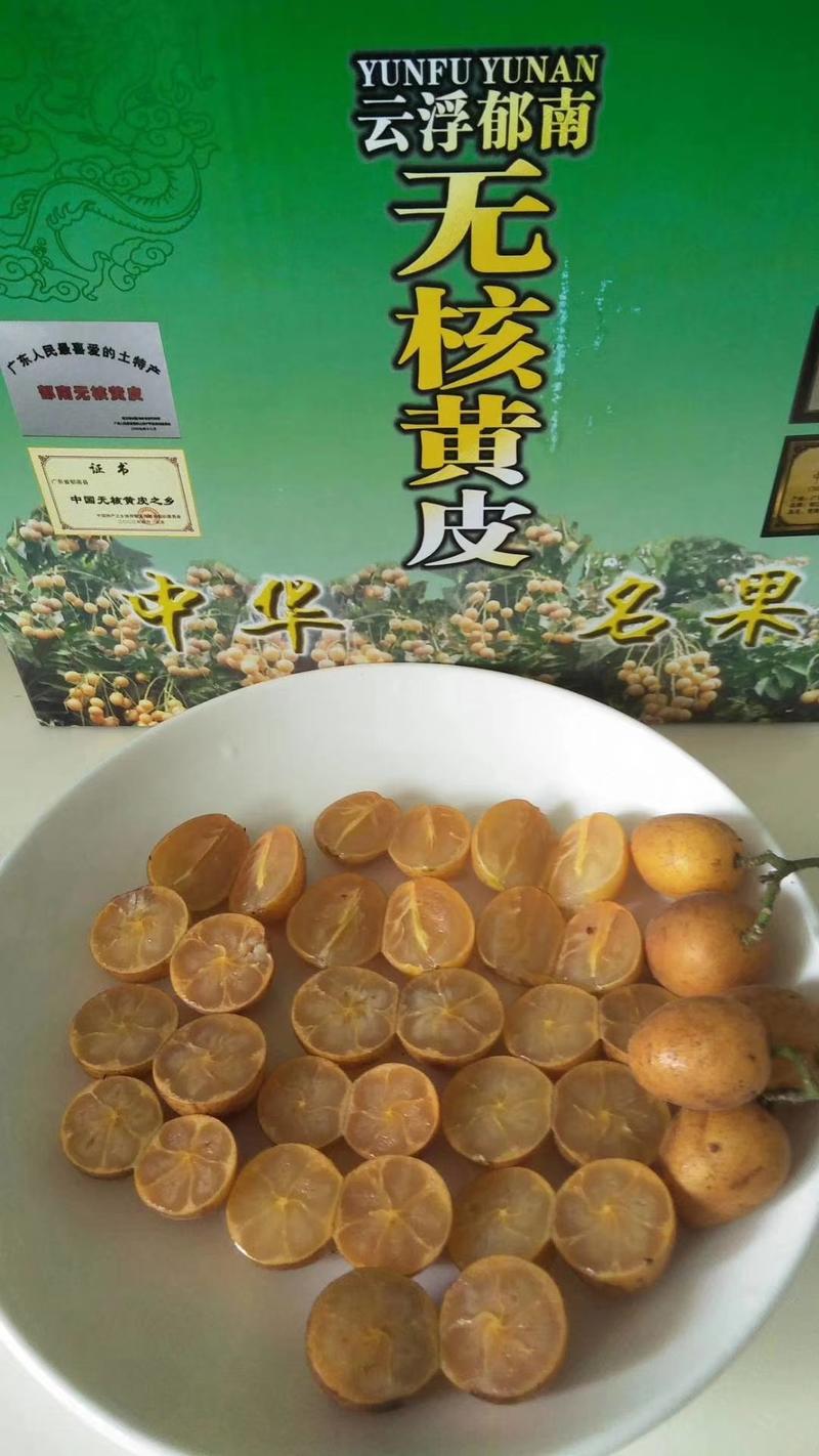 长期供应广东郁南特产无核黄皮果苗、大鸡心黄皮果苗、冰糖黄