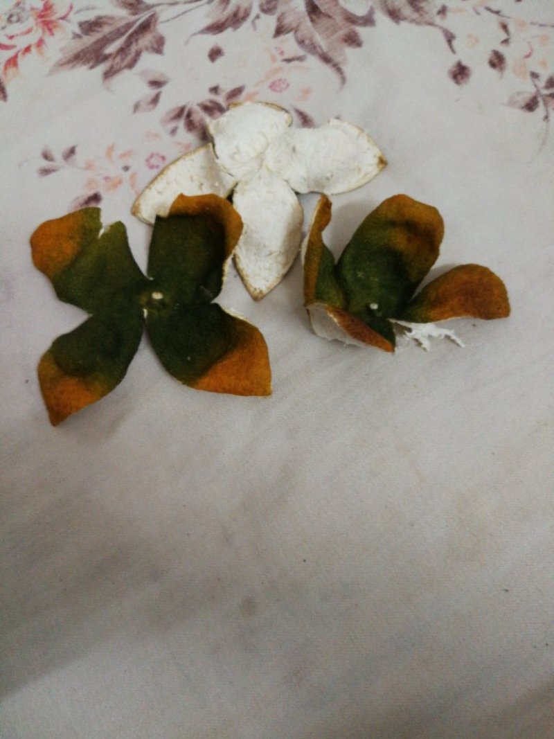 干货橙皮，三片四片A货。