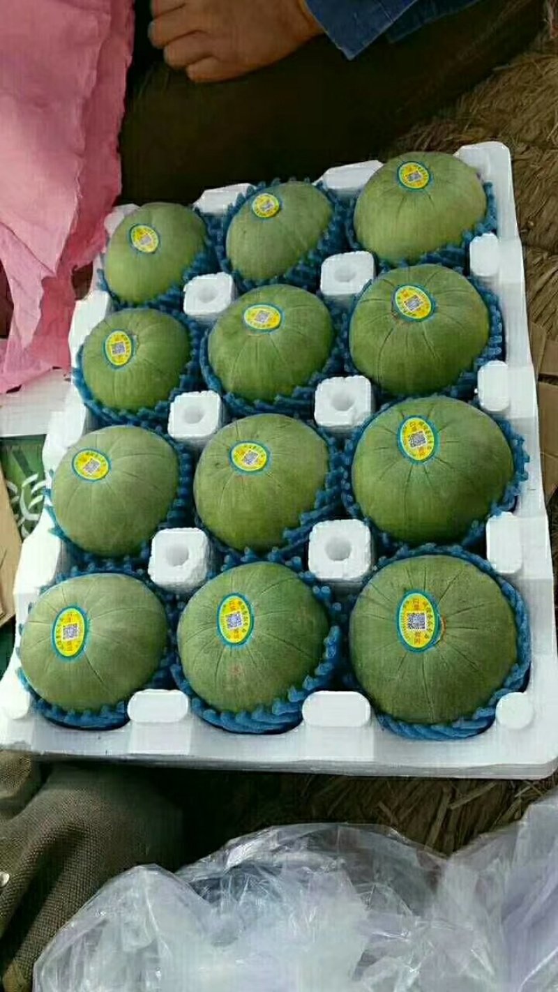 甜瓜