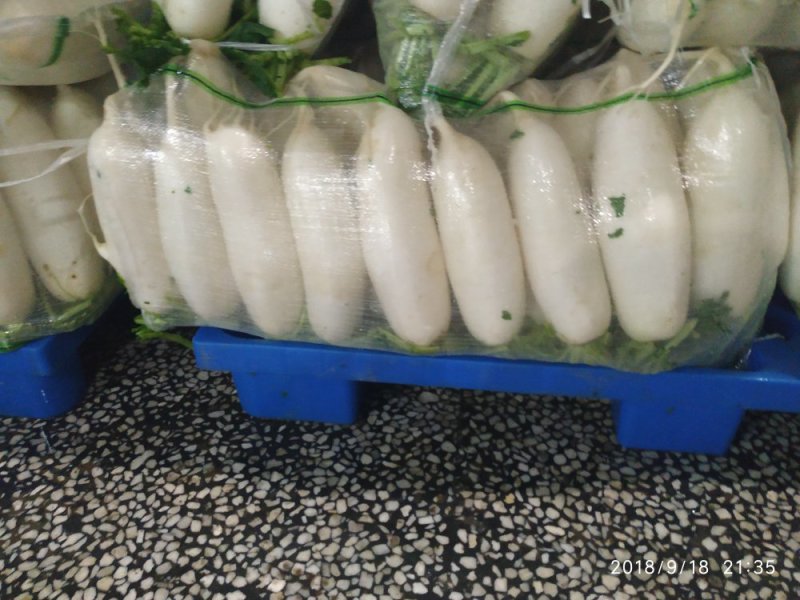 精品高山恩施富硒白萝卜