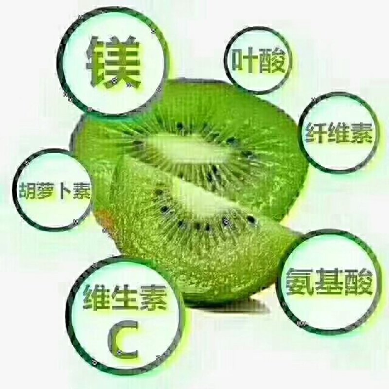 猕猴桃
