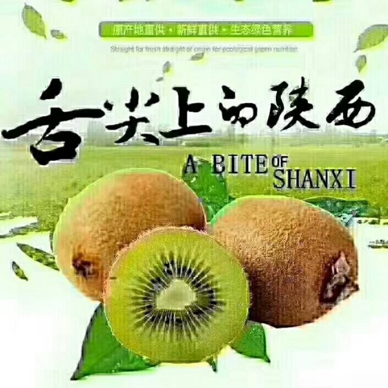 猕猴桃