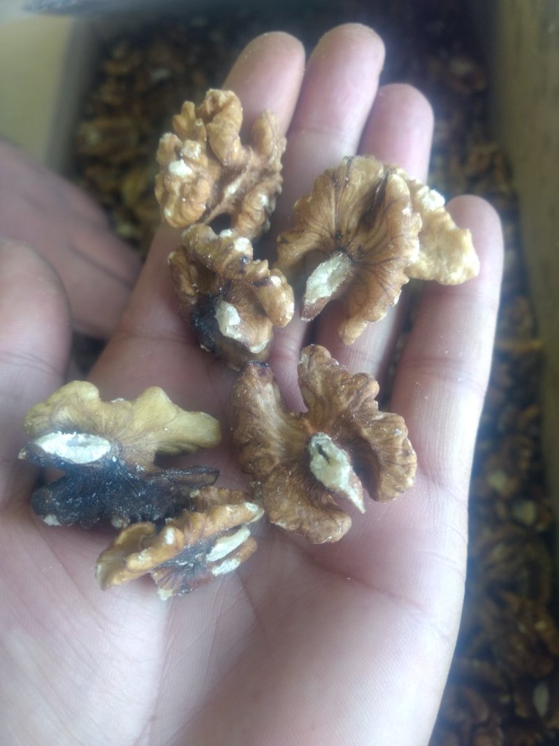 新疆薄皮核桃仁。特级。一级。二级各品种都有。现货350吨
