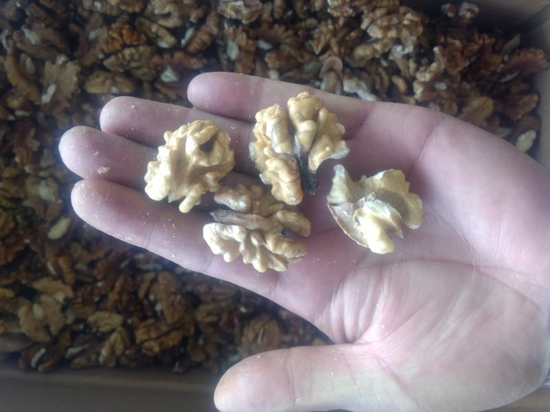 新疆薄皮核桃仁。特级。一级。二级各品种都有。现货350吨