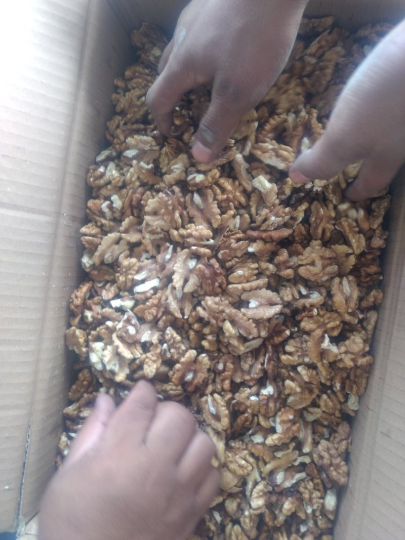 新疆薄皮核桃仁。特级。一级。二级各品种都有。现货350吨