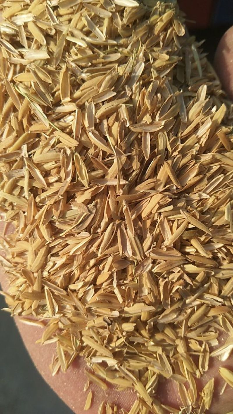 稻壳！除尘壳粉！