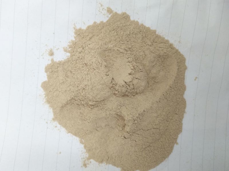 稻壳！稻壳诚寻有实力的贸易商地区代理商！