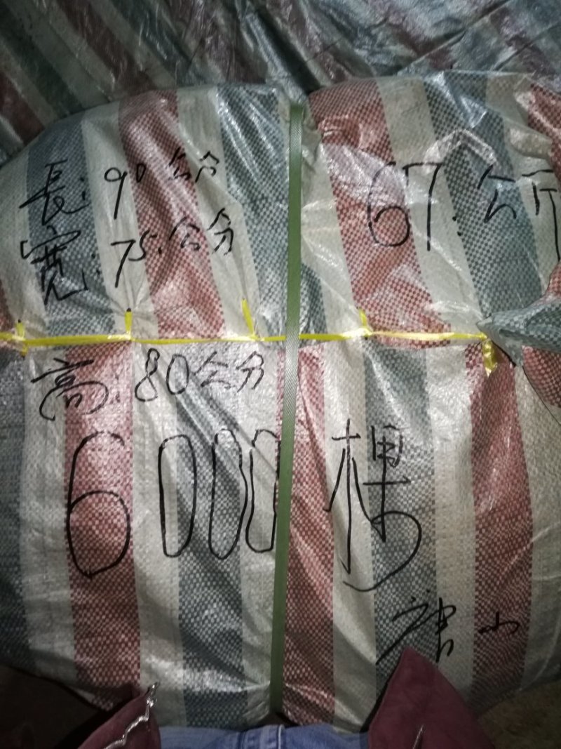 中药材红枸杞苗产地直销全国包邮支持线上交易