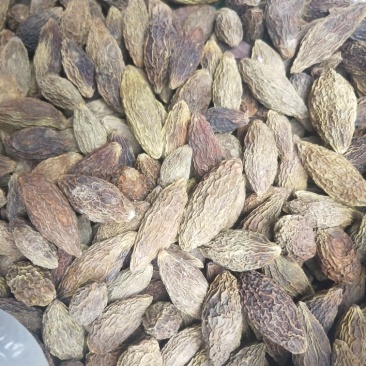 青果