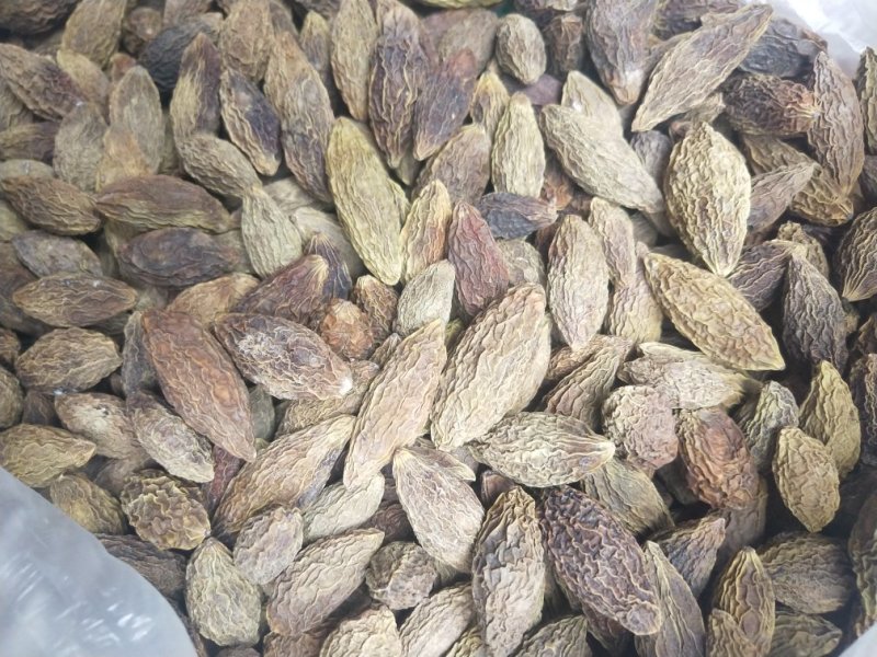 青果