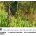天目扁尖天目笋干5斤净重临安特产一件代发