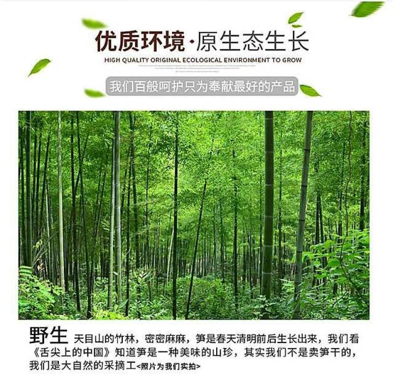 天目扁尖天目笋干5斤净重临安特产一件代发
