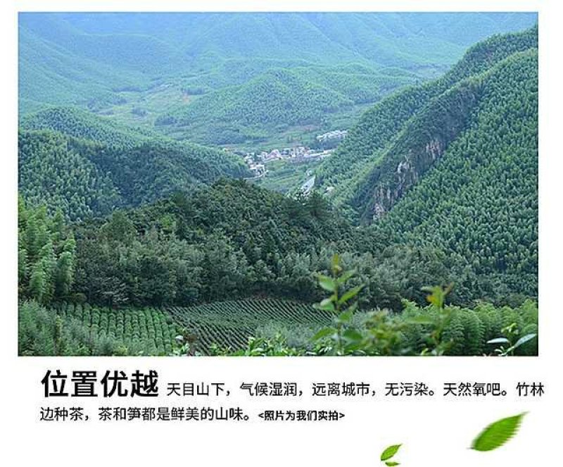 天目扁尖天目笋干5斤净重临安特产一件代发