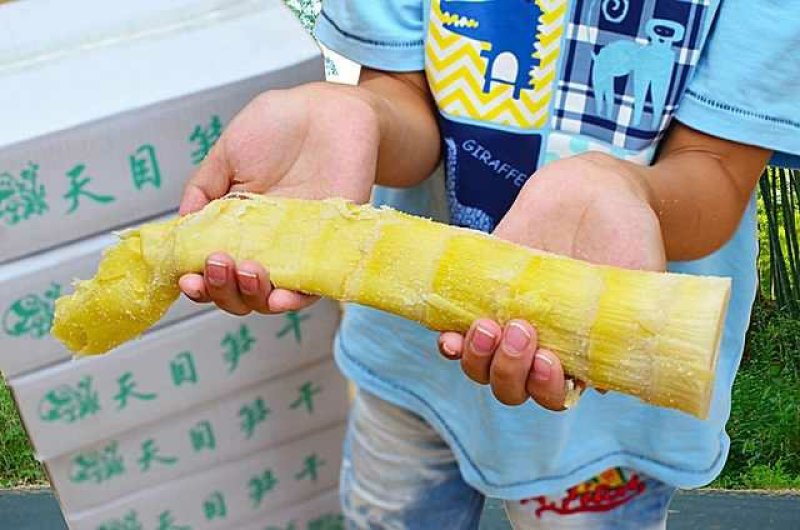 天目扁尖天目笋干5斤净重临安特产一件代发