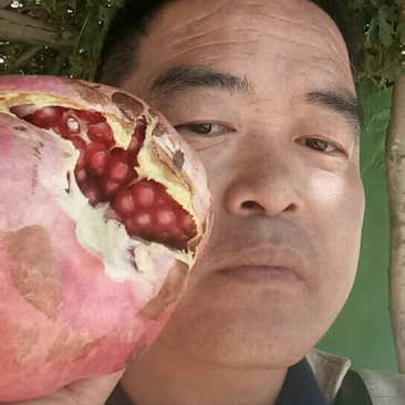 新疆和田皮亚曼大籽薄皮超甜红石榴