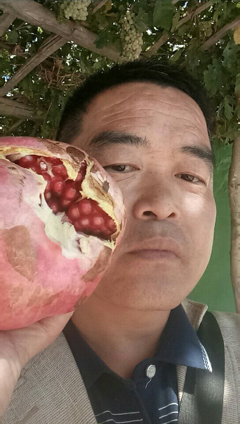 新疆和田皮亚曼大籽薄皮超甜红石榴