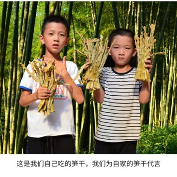 天目笋干春笋干18年新货一件代发