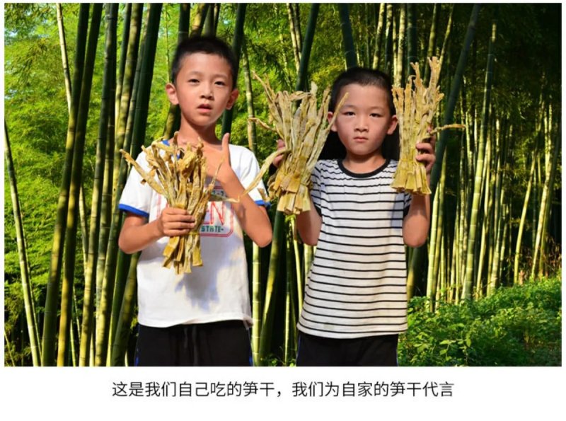 天目笋干春笋干18年新货一件代发