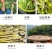 天目笋干春笋干18年新货一件代发