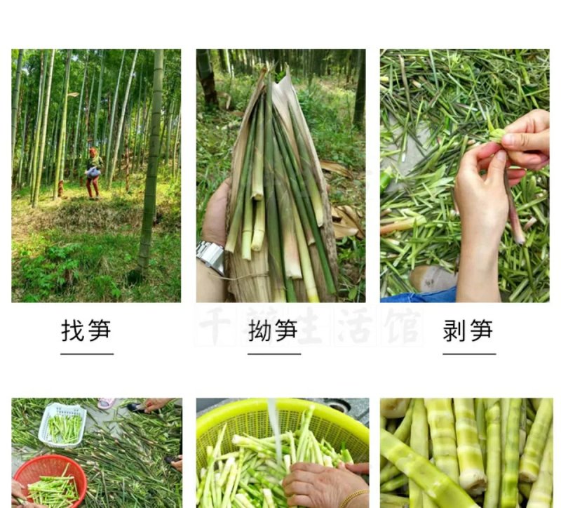天目笋干春笋干18年新货一件代发